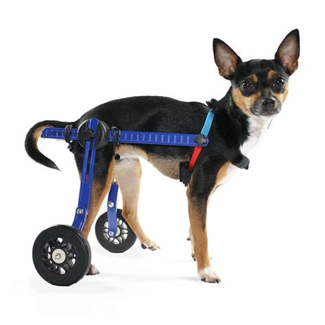 Walkin Wheels Dog Wheelchair Xs For Minitoy Breeds 2 10 Pounds