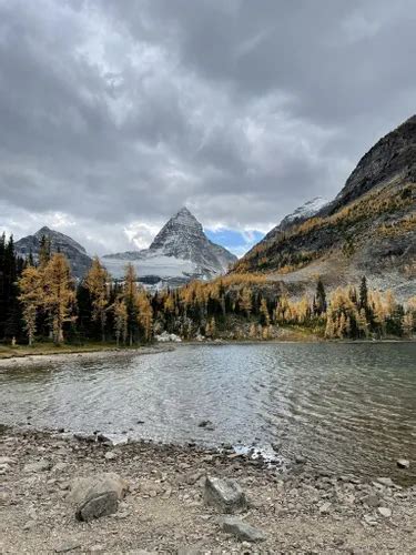 10 Best Hikes And Trails In Mount Assiniboine Provincial Park Alltrails