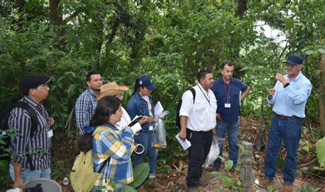 SAG Honduras on Twitter RT OIRSAoficial ElSalvador Técnicos de