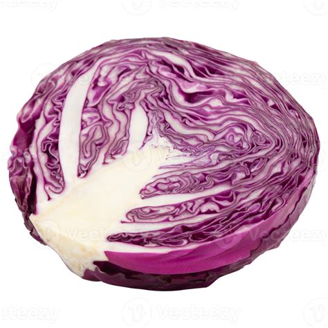 Free Red Cabbage Cutout Png File 8534703 Png With Transparent Background
