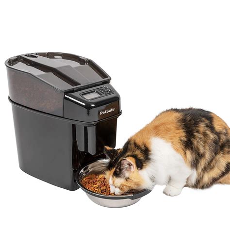 Best Automatic Cat Feeders Of 2020 Reviews And Buying Guide