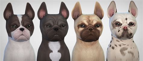 Cakenoodles French Bulldogs Edit Sims 4 Pets Bulldog French Bulldog