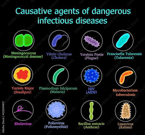 Causative Agents Of Dangerous Infectious Diseases On A Black Background Stock Adobe Stock