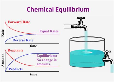 Chemical Equilibrium Classnotesng