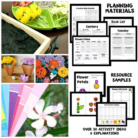 Color changing flowers lesson plan. Flower Theme Preschool Classroom Lesson Plans - Preschool ...