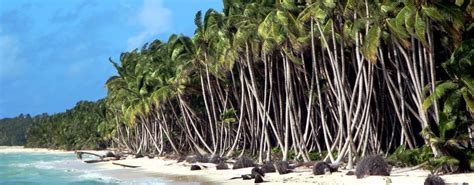 Cocos Island In Australia A Beautiful Spot For Your Honeymoon