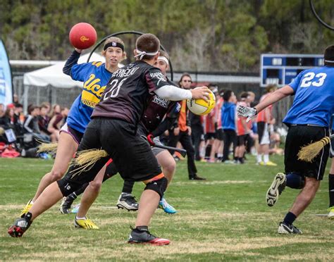 Quidditch Rules How To Play Basic Rules Sportsmatik