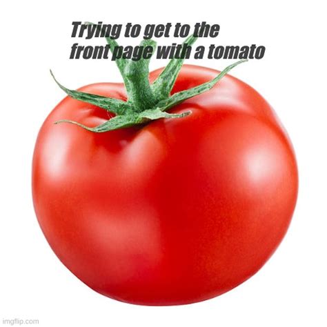 Trying To Get To The Front Page With A Tomato Imgflip