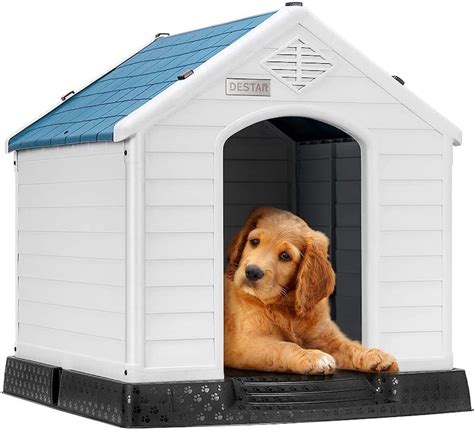 The 5 Best Outdoor Dog Houses