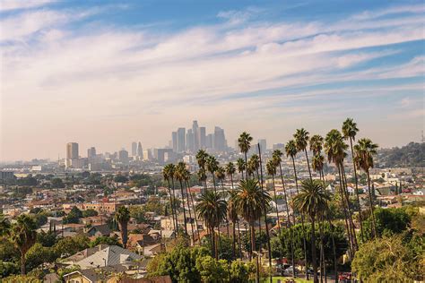 Los Angeles Skyline At Sunset With Palm Trees In The Foreground