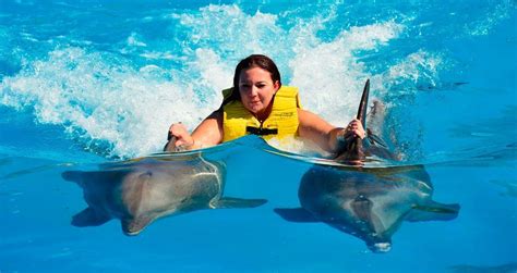 Nadar con delfines en Riviera Maya