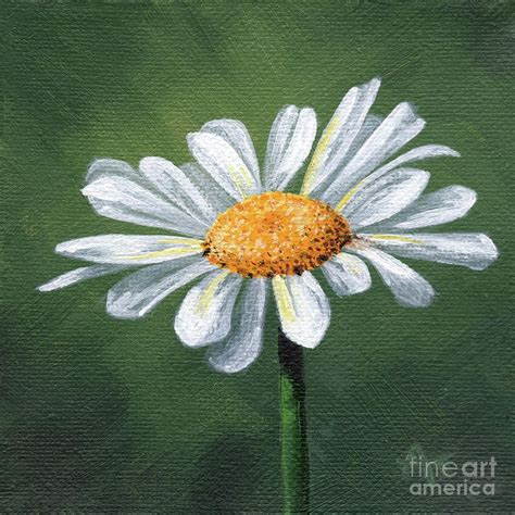 Pin by Brigitte Côté on Painting How tos in Daisy painting Daisy art Oil painting