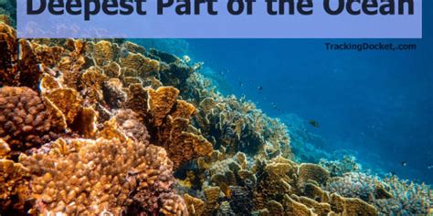 List Of 10 Deepest Part Of The Ocean