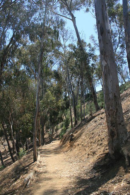 Hosp Grove Park Hiking Trails California Grove Park California Hikes
