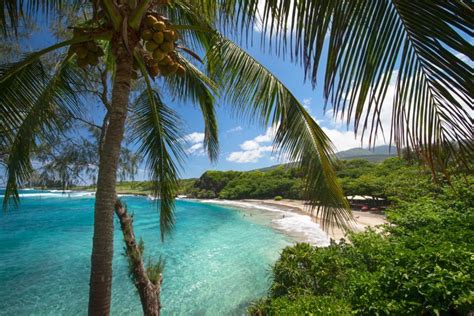 Something resembling an island especially in its isolated or surrounded position: The best island in Hawaii is... | Hawaii Magazine