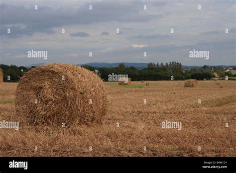 A Large Hay Bale In A Field At Harvest Time Stock Photo Alamy