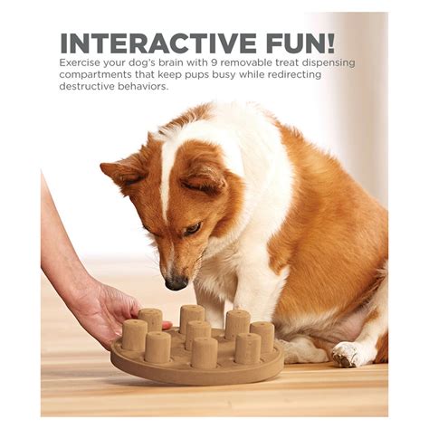 Nina Ottosson Smart Composite Puzzle Dog Toy Teddys