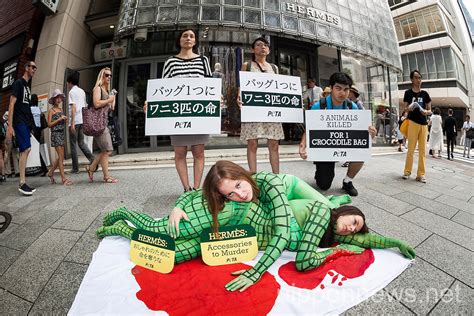 Peta Protests Hermes Treatment Of Crocodiles Nippon News Editorial