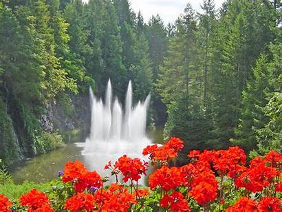 Butchart Gardens Fountain Ross Geraniums British Columbia
