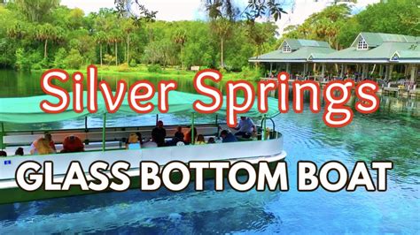 Silver Springs Florida Glass Bottom Boat Tour Florida State Park