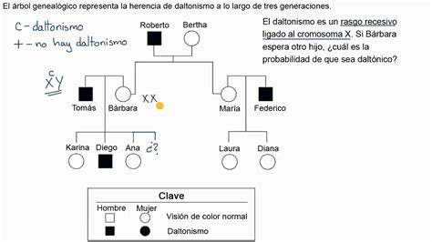 Como Hacer Un Arbol Genealogico De Tres Generaciones