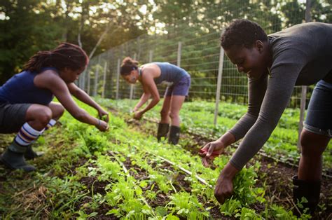 Black Farmers Are Sowing The Seeds Of Health And Empowerment Wosu Radio