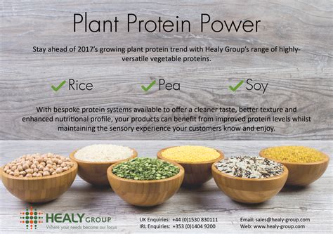 Plant Protein Power Healy Group Healy Group