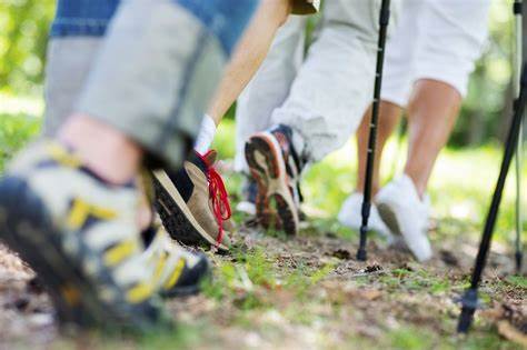Strolling and cultivating can save you from chance of Alzheimer's