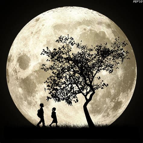 Full Moon Digital Art By Phil Perkins