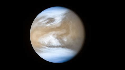Clouds Of Venus May Host Alien Life Finds New Study