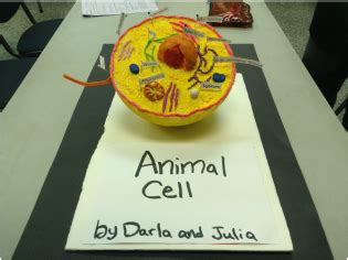 We did not find results for: Cell Project - Mrs. Burnham's Class
