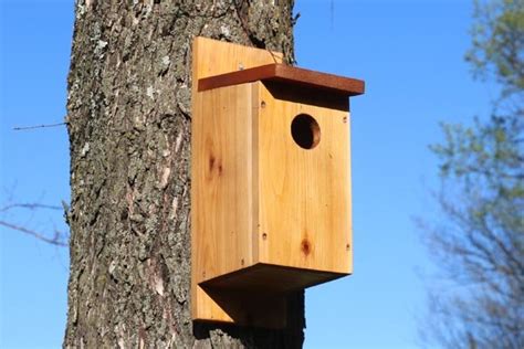 Bird House Plans 20 Free Beginner Birdhouse Designs