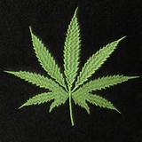 Marijuana On Amazon Images