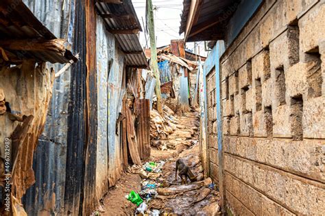Kibera Slum In Nairobi Kibera Is The Biggest Slum In Africa Slums In