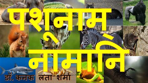 What are the languages used before sanskrit and hindi in india? Animals names in Sanskrit - Part 3 - सरसम᳭ संस्कृतम् ...