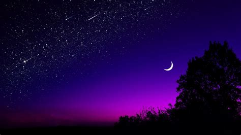 Download Wallpaper 1366x768 Moon Tree Starry Sky Night Stars Dark