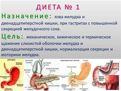 Диета 1 1б Диета номер 1 при гастрите желудка: стол 1, стол 1а, стол 1б Диета номер 1 при гастрите желудка: стол 1, стол 1а, стол 1б Диета 1 1б