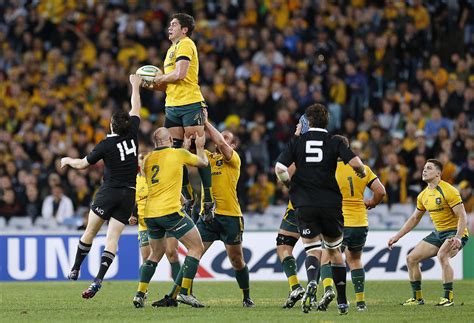 The wallabies were also coming up against an all blacks team that would extremely motivated'' after their loss to england in the rugby world cup semifinal last october. Wallabies vs All Blacks game analysis | The Roar