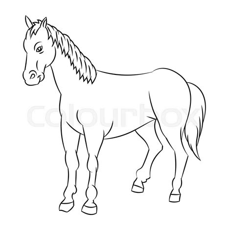 Hand Drawn Sketch Of Horse Isolated Stock Vector Colourbox