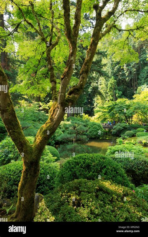 Portland Japanese Garden Portland Oregon Usa Stock Photo Alamy