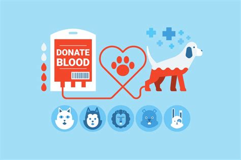 Can Dogs Donate Blood