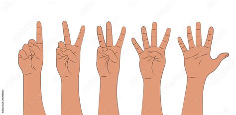 Hand Shows Fingers Counting From One To Five Isolated On White Background Cartoon Set Of