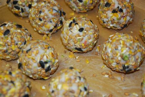 Making bird feed balls is great fun for the kids to get involved with, and they'll love watching wild birds eat their food! Homemade Bird Fat Balls | broke them into pieces, will use ...