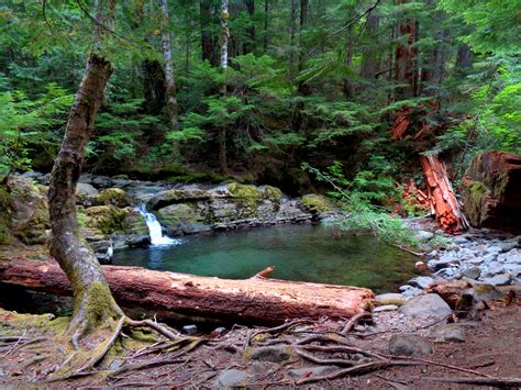 Pool In Ford Pinchot National Forest Oc 1600 X 1200 Naturefully