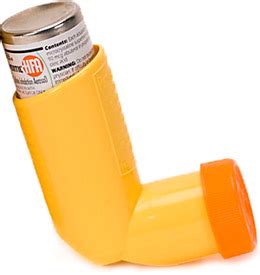 We did not find results for: Proventil (Salbutamol) Inhaler - My Canadian Pharmacy