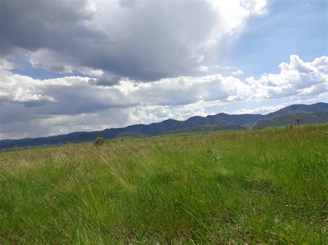 Green Meadow With Mountains In Background Picture Free Photograph