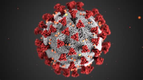 Centers for disease control and prevention. Coronavirus (COVID-19) frequently asked questions | CDC