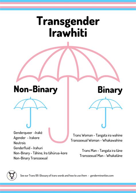 The Transgender Umbrella Gender Minorities Aotearoa