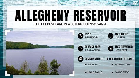 Discover The Deepest Lake In Western Pennsylvania A Z Animals