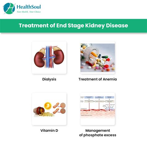 End Stage Kidney Disease Causes And Management Healthsoul